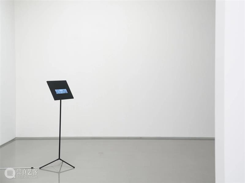 香格纳画廊 | 2025年度展览回顾（上） 崇真艺客