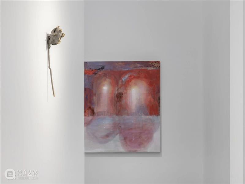 香格纳画廊 | 2025年度展览回顾（上） 崇真艺客