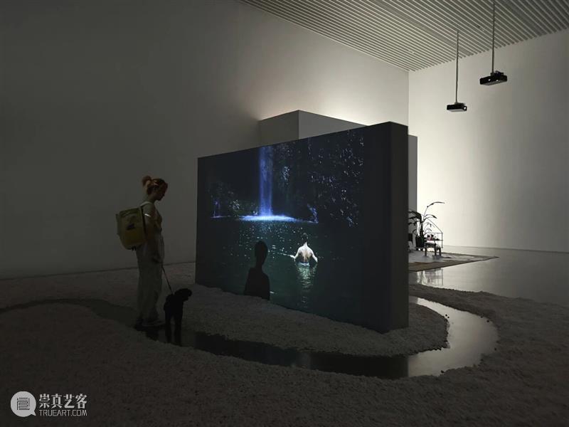 香格纳画廊 | 2025年度展览回顾（上） 崇真艺客