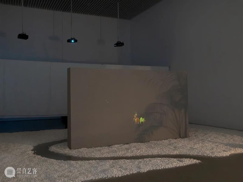 香格纳画廊 | 2025年度展览回顾（上） 崇真艺客