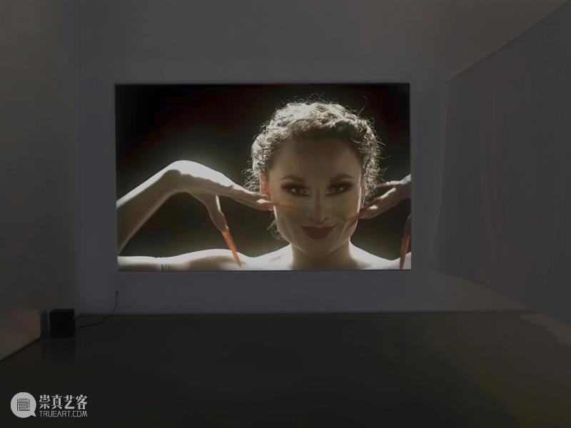 香格纳画廊 | 2025年度展览回顾（上） 崇真艺客