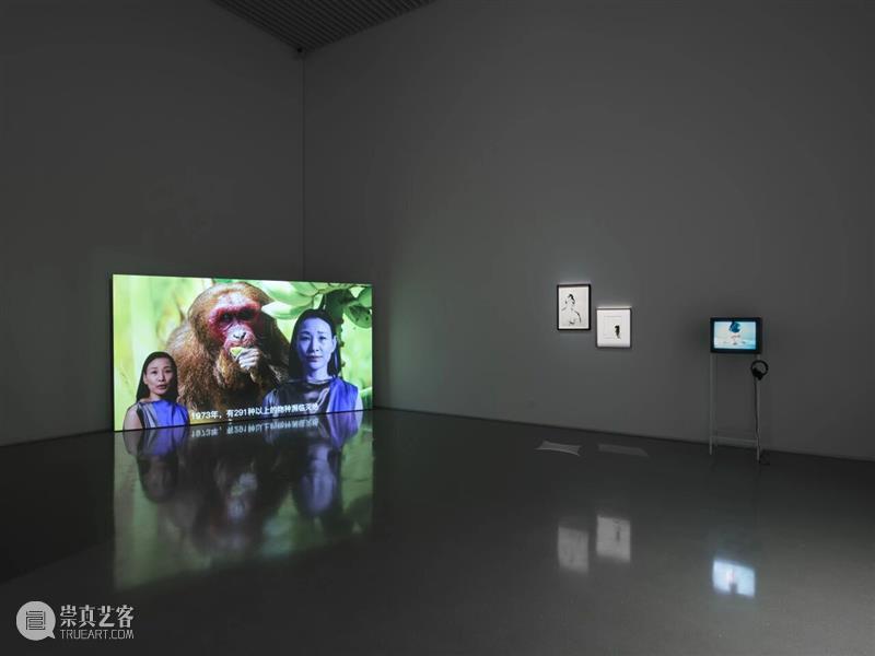 香格纳画廊 | 2025年度展览回顾（上） 崇真艺客