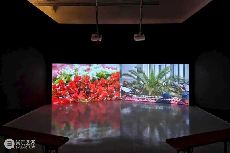 香格纳画廊 | 2025年度展览回顾（上） 崇真艺客