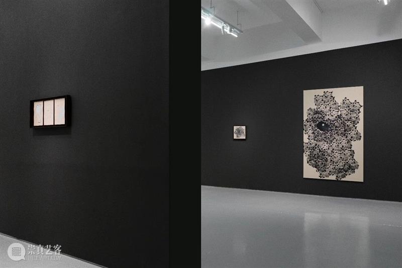 香格纳画廊 | 2025年度展览回顾（上） 崇真艺客