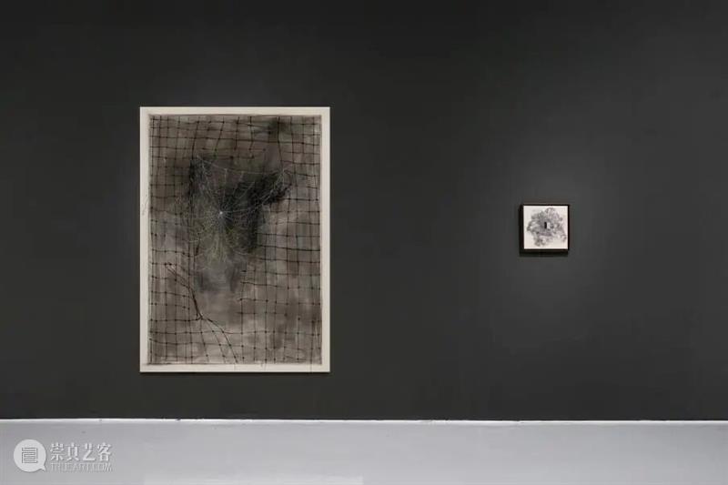 香格纳画廊 | 2025年度展览回顾（上） 崇真艺客