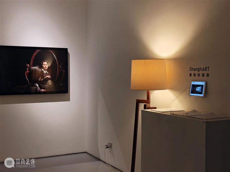 香格纳画廊 | 2025年度展览回顾（上） 崇真艺客
