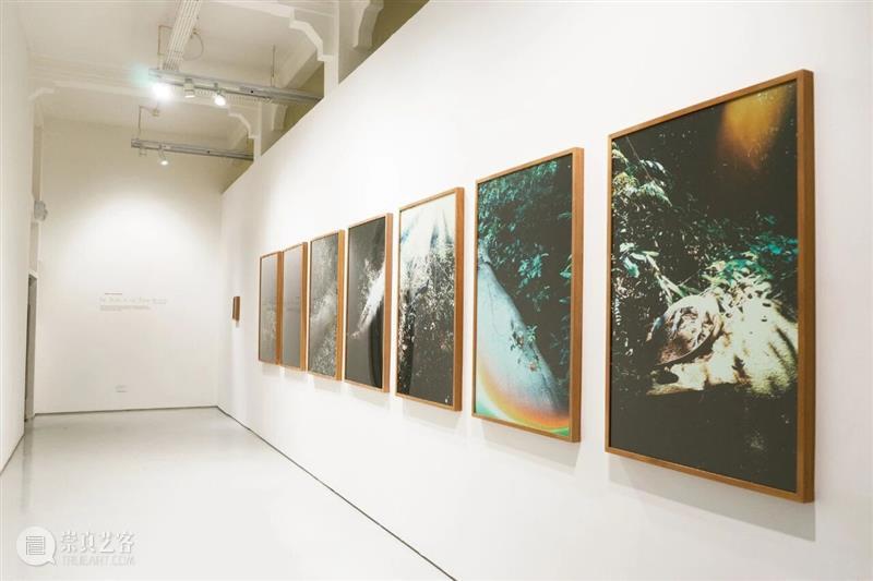 香格纳画廊 | 2025年度展览回顾（上） 崇真艺客