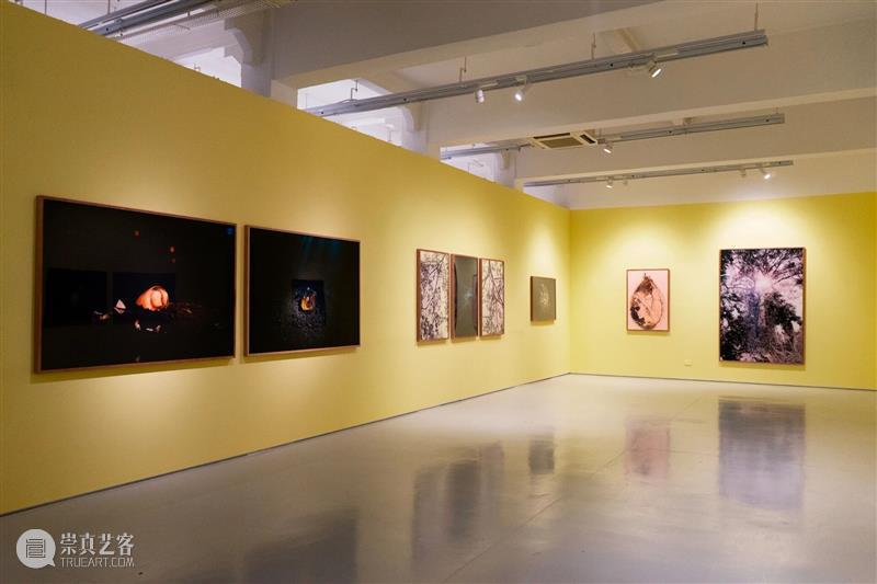 香格纳画廊 | 2025年度展览回顾（上） 崇真艺客