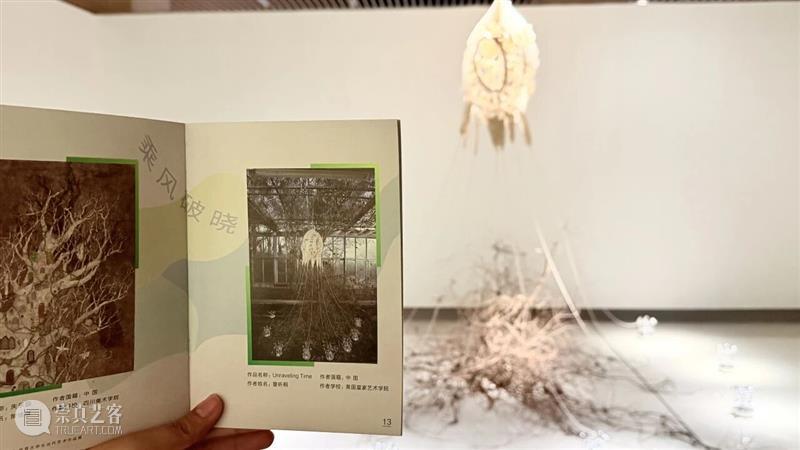 带娃看展不迷茫！新一期亲子手册来啦 崇真艺客