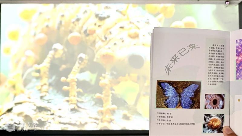 带娃看展不迷茫！新一期亲子手册来啦 崇真艺客