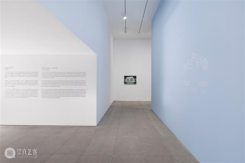 白盒子现场｜昨日的肖像：张春华个展开幕   崇真艺客