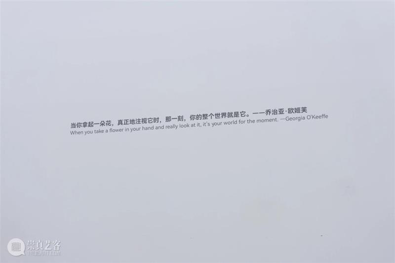 「女性艺术家访谈」宋三土：女性经验是一种回归，也是一种创造 崇真艺客