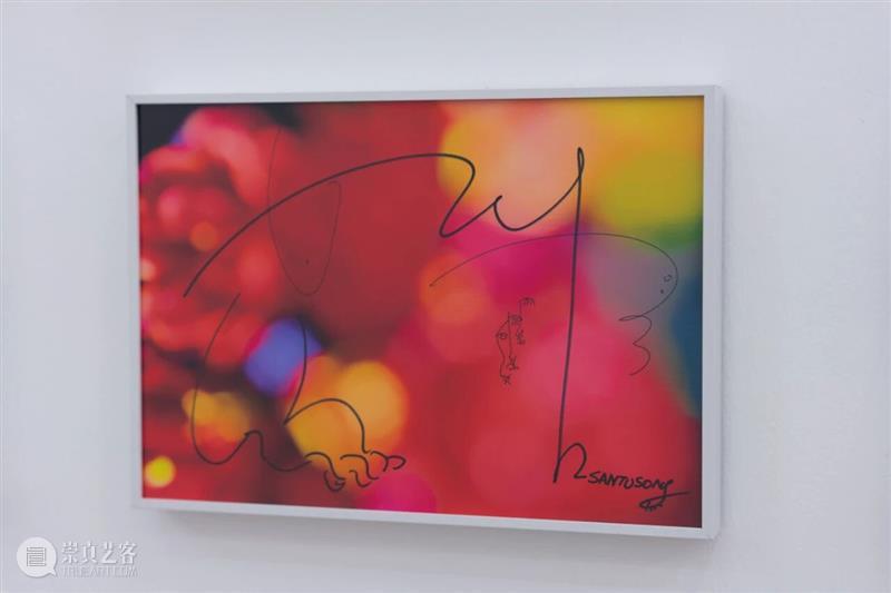 「女性艺术家访谈」宋三土：女性经验是一种回归，也是一种创造 崇真艺客