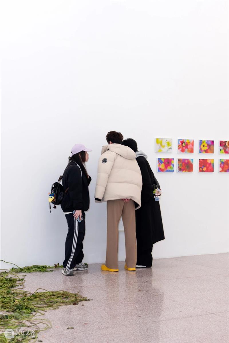 「女性艺术家访谈」宋三土：女性经验是一种回归，也是一种创造 崇真艺客