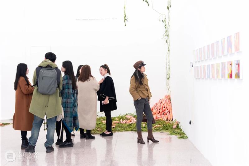 「女性艺术家访谈」宋三土：女性经验是一种回归，也是一种创造 崇真艺客