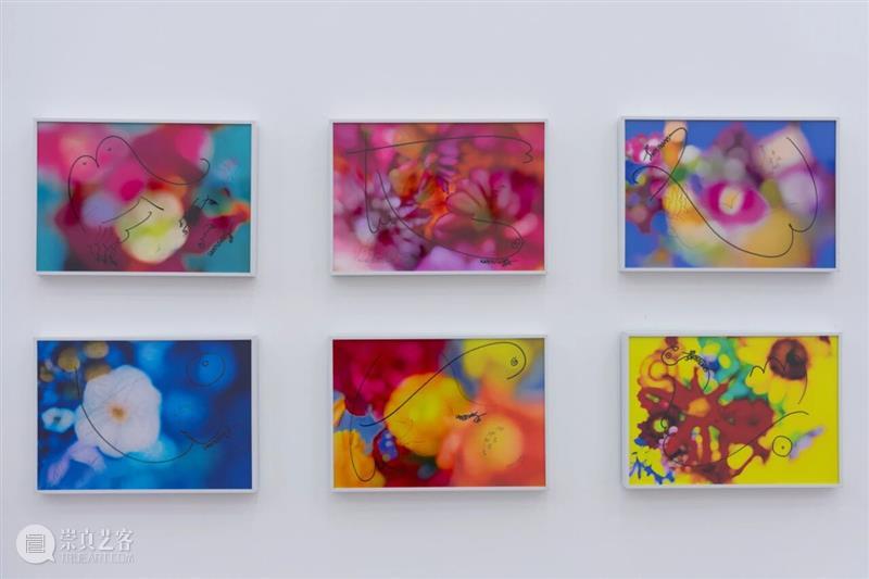 「女性艺术家访谈」宋三土：女性经验是一种回归，也是一种创造 崇真艺客