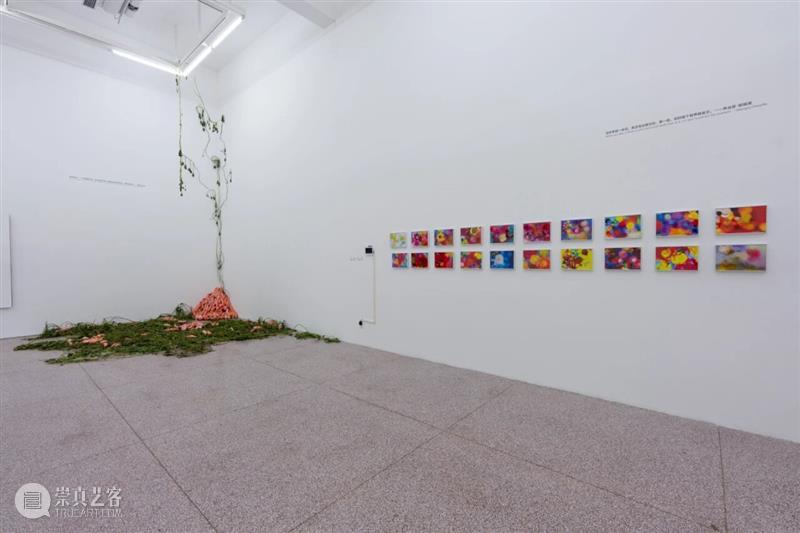 「女性艺术家访谈」宋三土：女性经验是一种回归，也是一种创造 崇真艺客