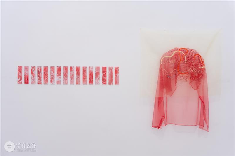 「女性艺术家访谈」岳明月：我不想将生育浪漫化 崇真艺客