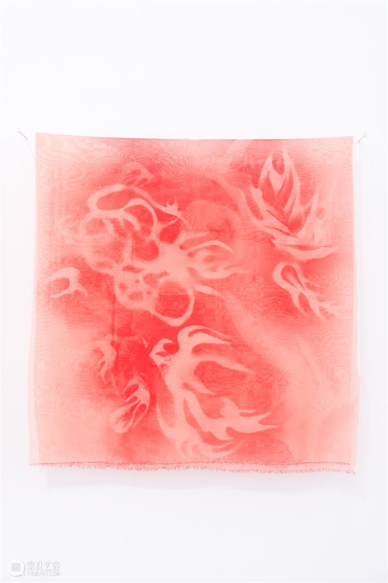 「女性艺术家访谈」岳明月：我不想将生育浪漫化 崇真艺客