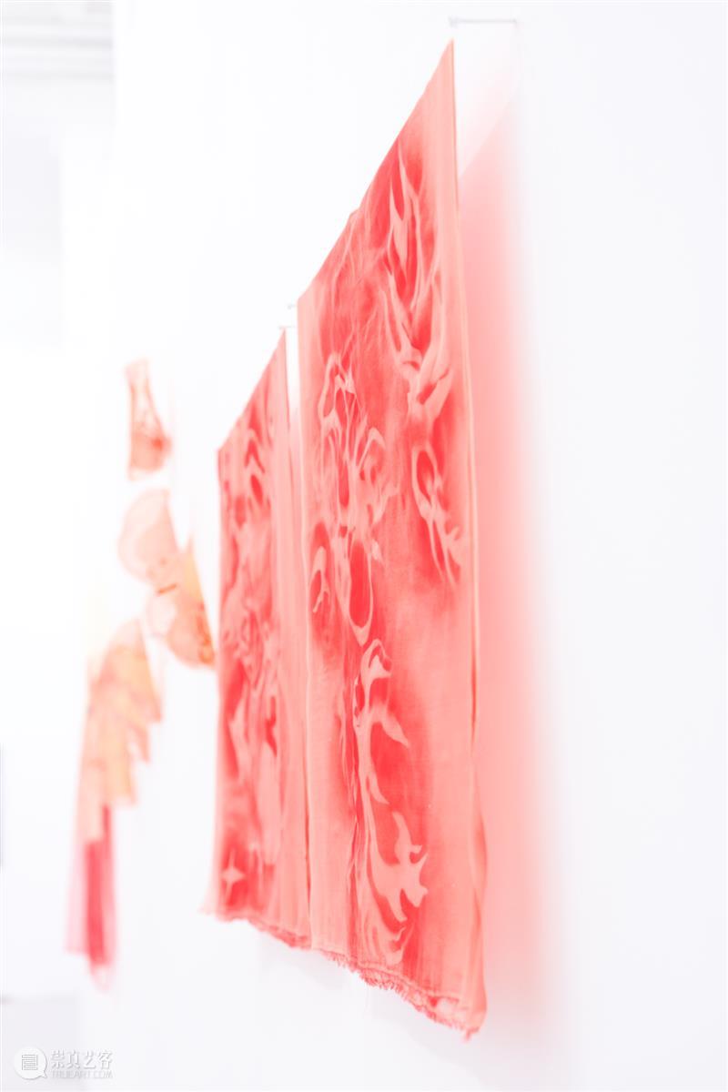 「女性艺术家访谈」岳明月：我不想将生育浪漫化 崇真艺客