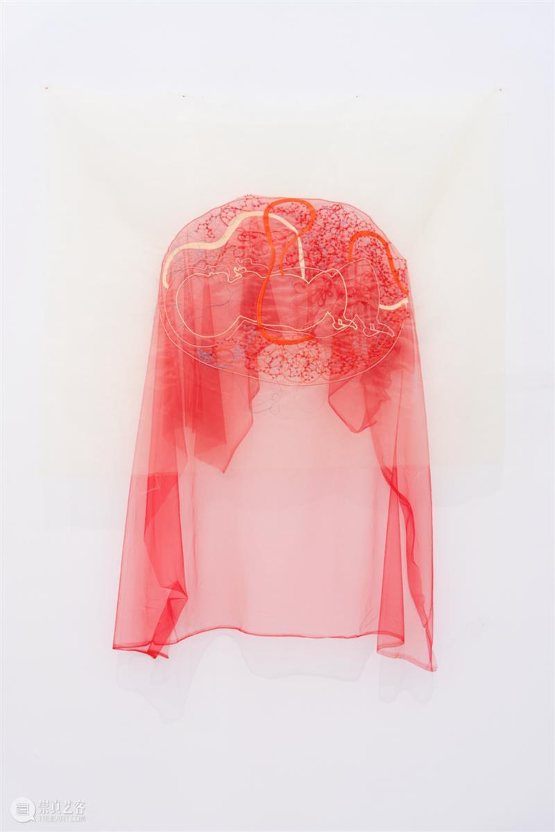 「女性艺术家访谈」岳明月：我不想将生育浪漫化 崇真艺客