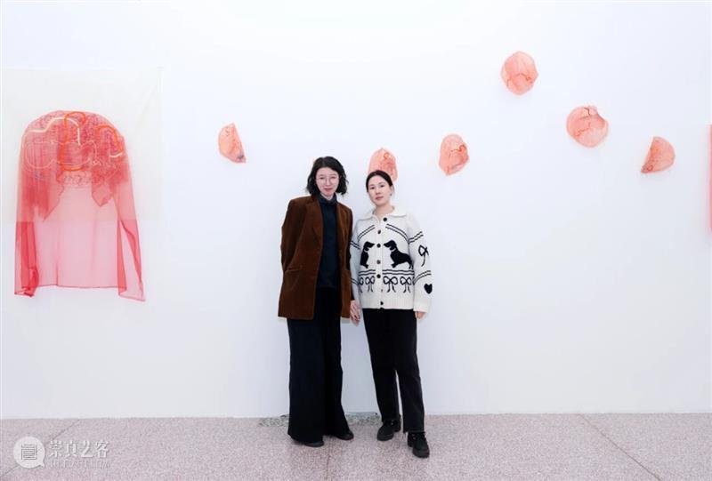 「女性艺术家访谈」岳明月：我不想将生育浪漫化 崇真艺客