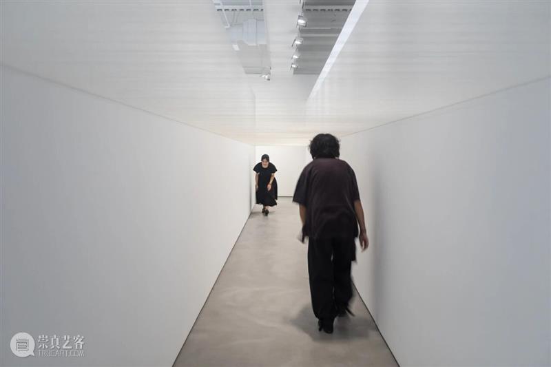 闭展倒计时5天??一起探秘“小人国” 崇真艺客