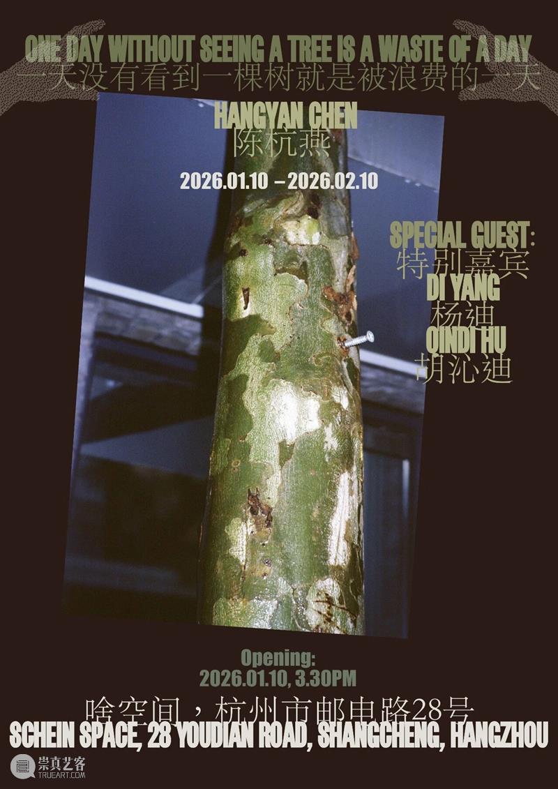 这是展览｜陈杭燕：一天没有看到一棵树就是被浪费的一天   崇真艺客