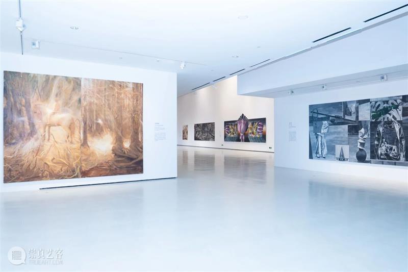 现场 | 2025罗中立奖学金年度作品展 崇真艺客