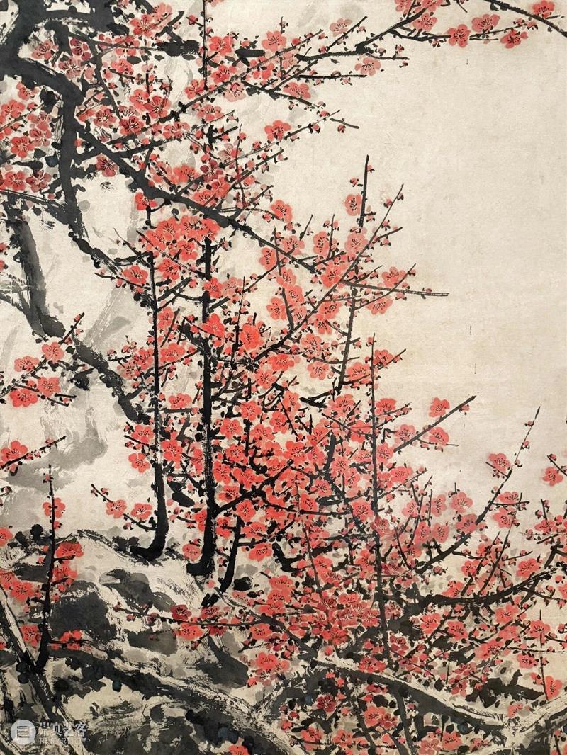节气 | 小寒 · 繁花似火，枝干如铁的“关氏梅花” 崇真艺客