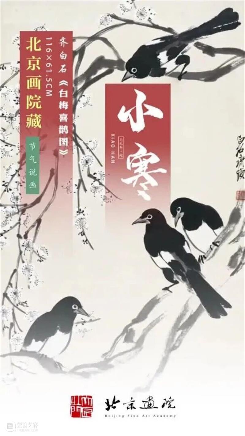 小寒 | 赏白石《白梅喜鹊图》 崇真艺客