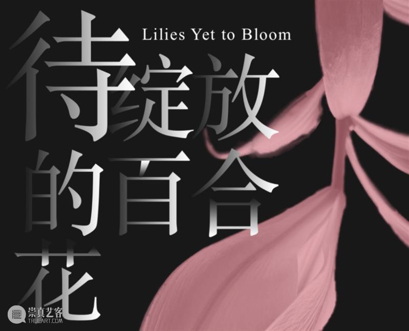 年度回顾｜2025年度美术馆展览 崇真艺客