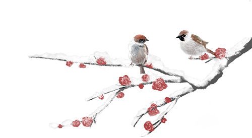 艺期一画·活动招募|寒梅傲雪·玺印篆刻 崇真艺客