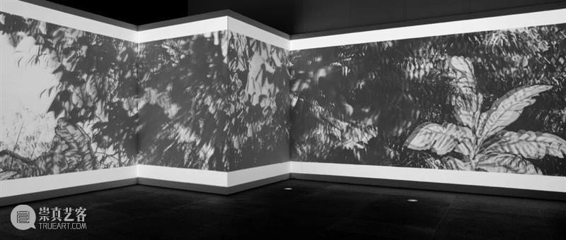 活动预约 | 王子蚺：苦难淬炼，诗画一生——陶博吾书画艺术欣赏 崇真艺客