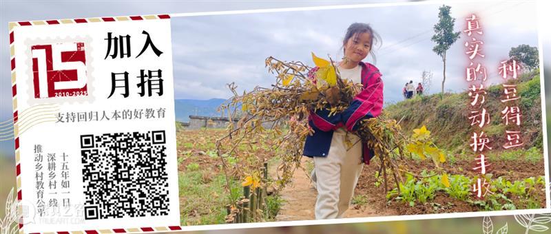 转载丨杨滨：把田字格做进艺术圈的“策展人” 视频资讯 肖诗坚 崇真艺客