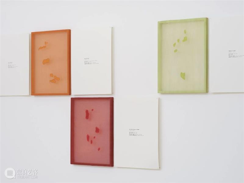 丹娜·阿瓦塔尼 (Dana Awartini) 将代表沙特阿拉伯参展2026年威尼斯双年展 崇真艺客