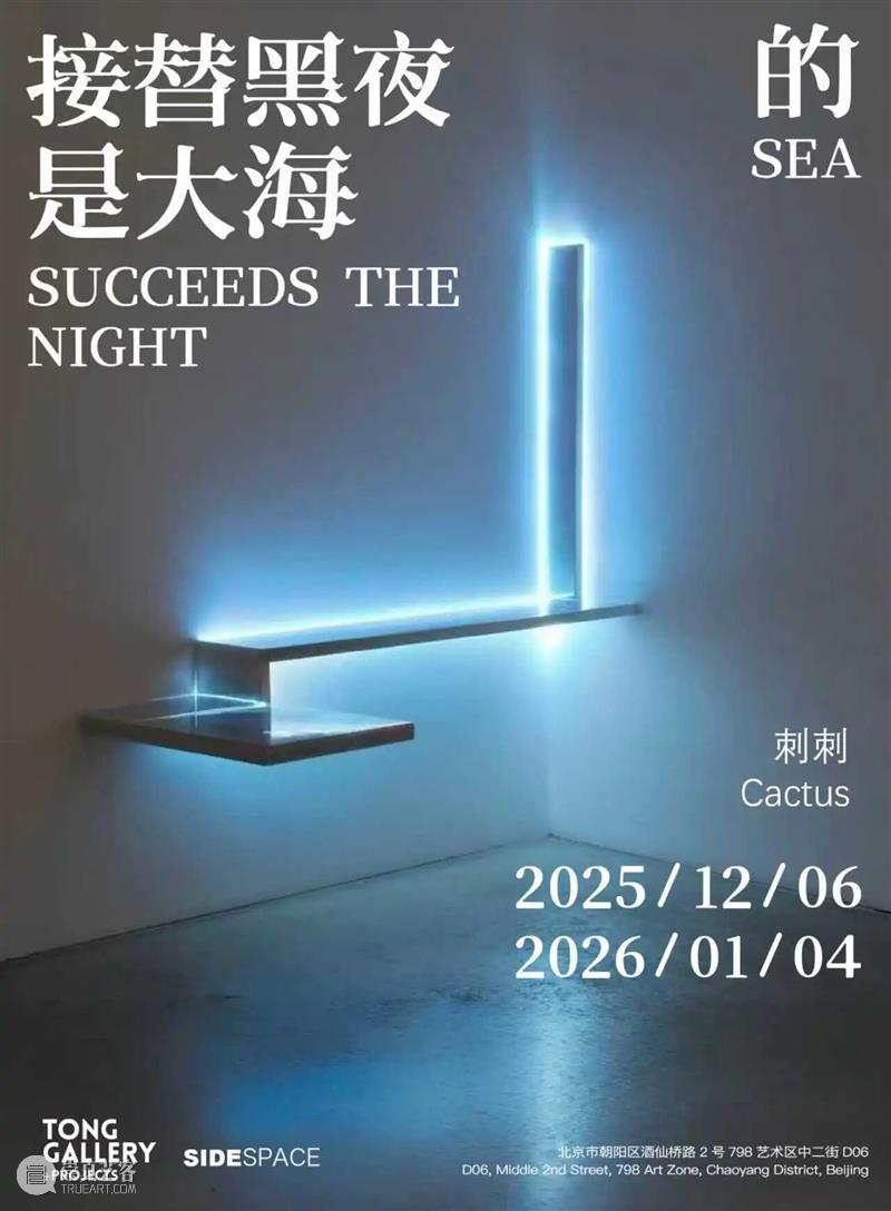 展览现场｜刺刺个展“ 接替黑夜的是大海” 崇真艺客