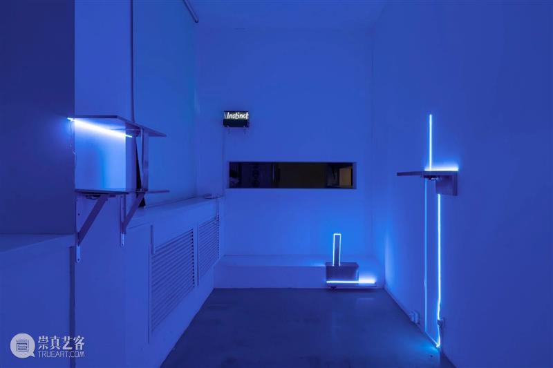 展览现场｜刺刺个展“ 接替黑夜的是大海” 崇真艺客