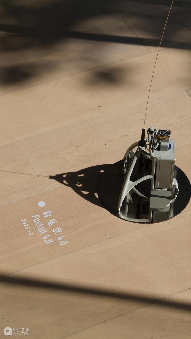 孙跃峰“同庚异命”展览现场?|?香格纳西岸中环 视频资讯 ShanghART 崇真艺客