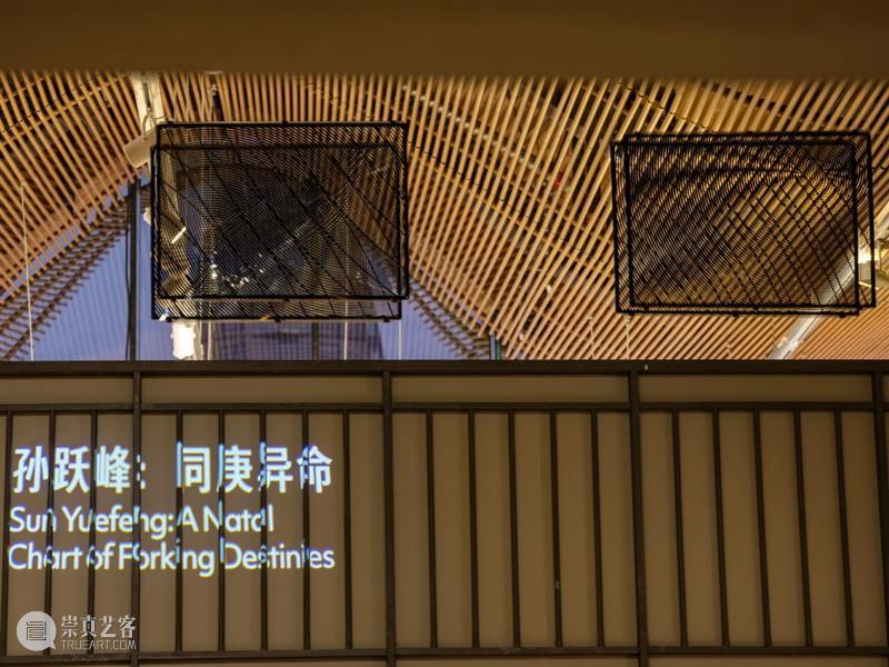 孙跃峰“同庚异命”展览现场?|?香格纳西岸中环 视频资讯 ShanghART 崇真艺客