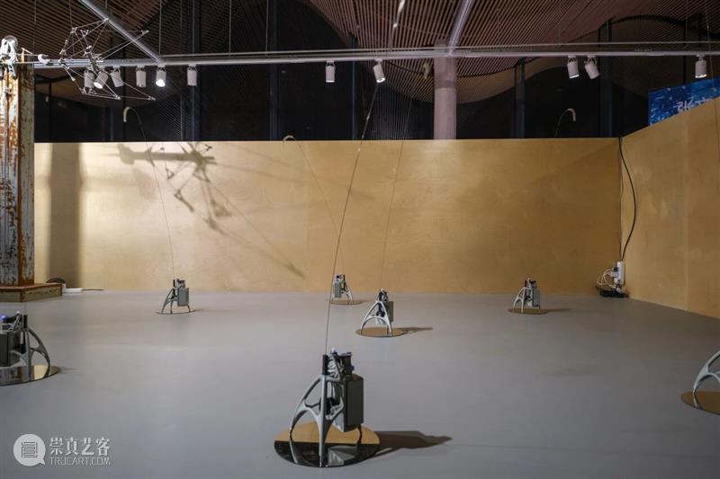 孙跃峰“同庚异命”展览现场?|?香格纳西岸中环 视频资讯 ShanghART 崇真艺客