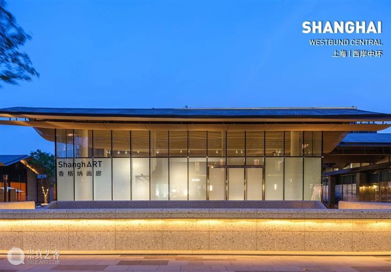 孙跃峰“同庚异命”展览现场?|?香格纳西岸中环 视频资讯 ShanghART 崇真艺客