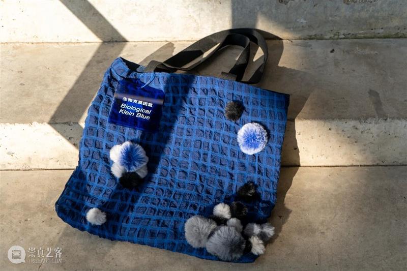 开局限定：领养“毛菌君” 崇真艺客