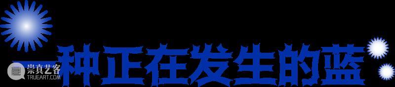 开局限定：领养“毛菌君” 崇真艺客