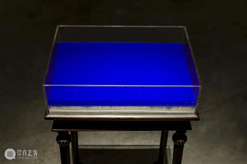 开局限定：领养“毛菌君” 崇真艺客