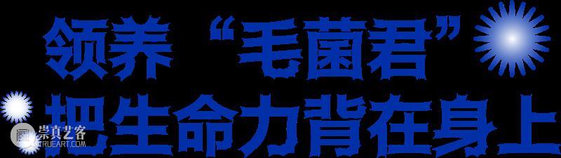 开局限定：领养“毛菌君” 崇真艺客