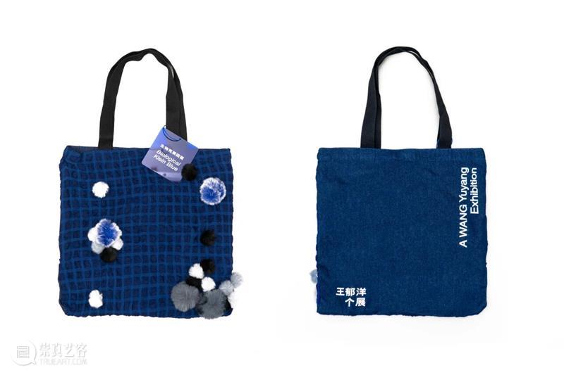 开局限定：领养“毛菌君” 崇真艺客