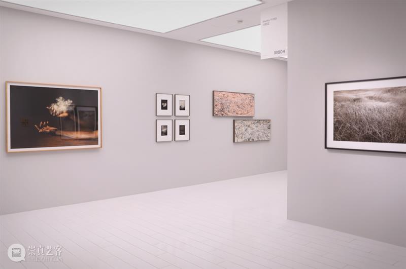 M艺术空间展览现场&访谈 | 56号展位 M004 骆丹 BoothM56 LUO Dan M艺术空间 崇真艺客