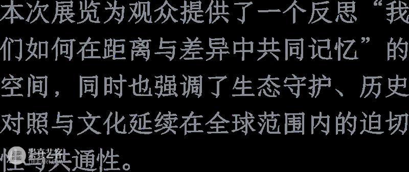 展览|大卫·奥斯特洛夫斯基、张月薇、马西尼萨·塞尔马尼、朱迪·沃森精选媒体报道 北岸馆 崇真艺客