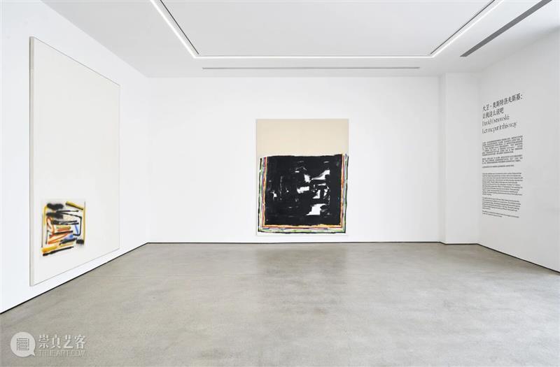 展览|大卫·奥斯特洛夫斯基、张月薇、马西尼萨·塞尔马尼、朱迪·沃森精选媒体报道 北岸馆 崇真艺客